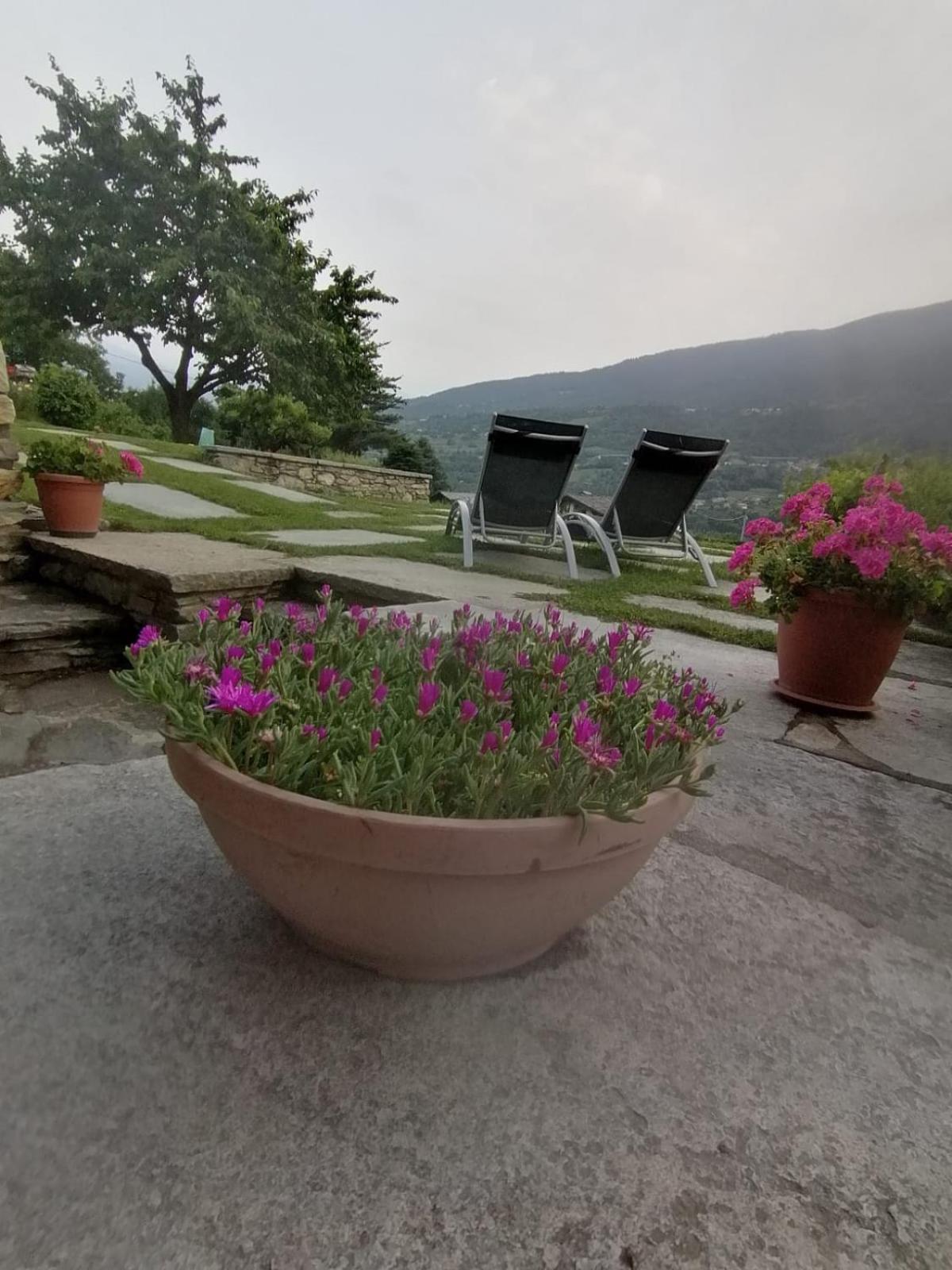 Mini House Valle D'Aosta 로이산 외부 사진
